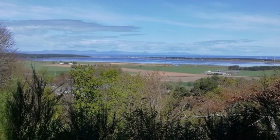 View from below Nelson's Tower