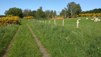 Dava Way
