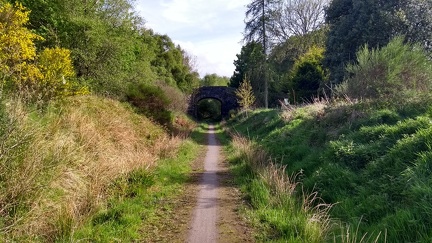 Dava Way