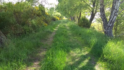 Dava Way