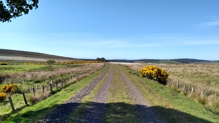 Looking north near Bogeney on the Dava Way