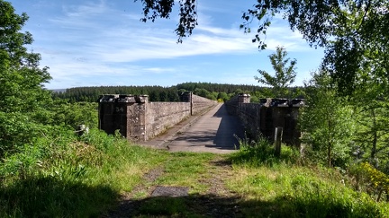 IMG 20200608 163853700 HDR