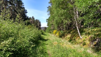 Dava Way (Dava-Bogeney)