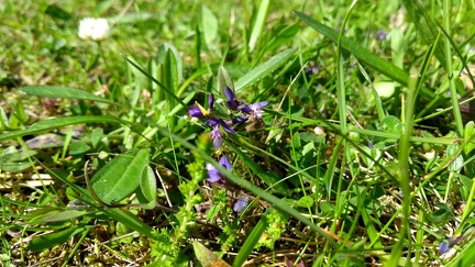 Dava Way (Dava-Bogeney)