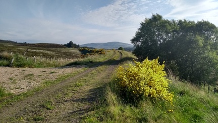 Dava Way (Dava-Bogeney)