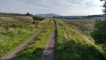 Dava Way (Dava-Bogeney)