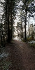 IMG 20210112 112110