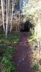 Path from Dallas Dhu to Fairy Hill