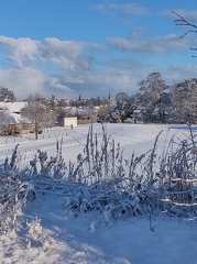 IMG 20210210 100631547 HDR