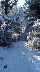 IMG 20210210 102209450
