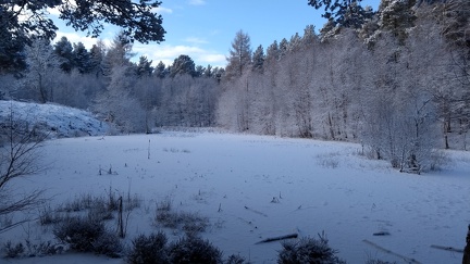 IMG 20210210 104903109