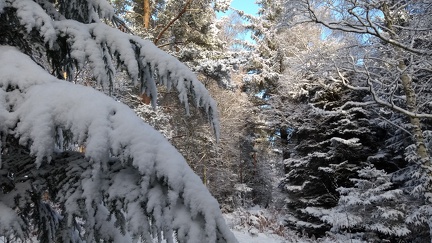 IMG 20210210 105802646