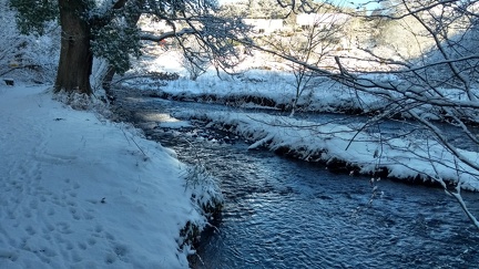 IMG 20210210 111611810 HDR