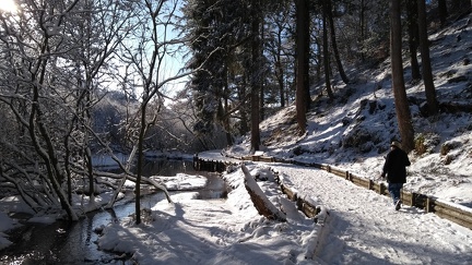 IMG 20210210 112901228